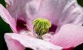 182 foto MVervoorn IMG_5375